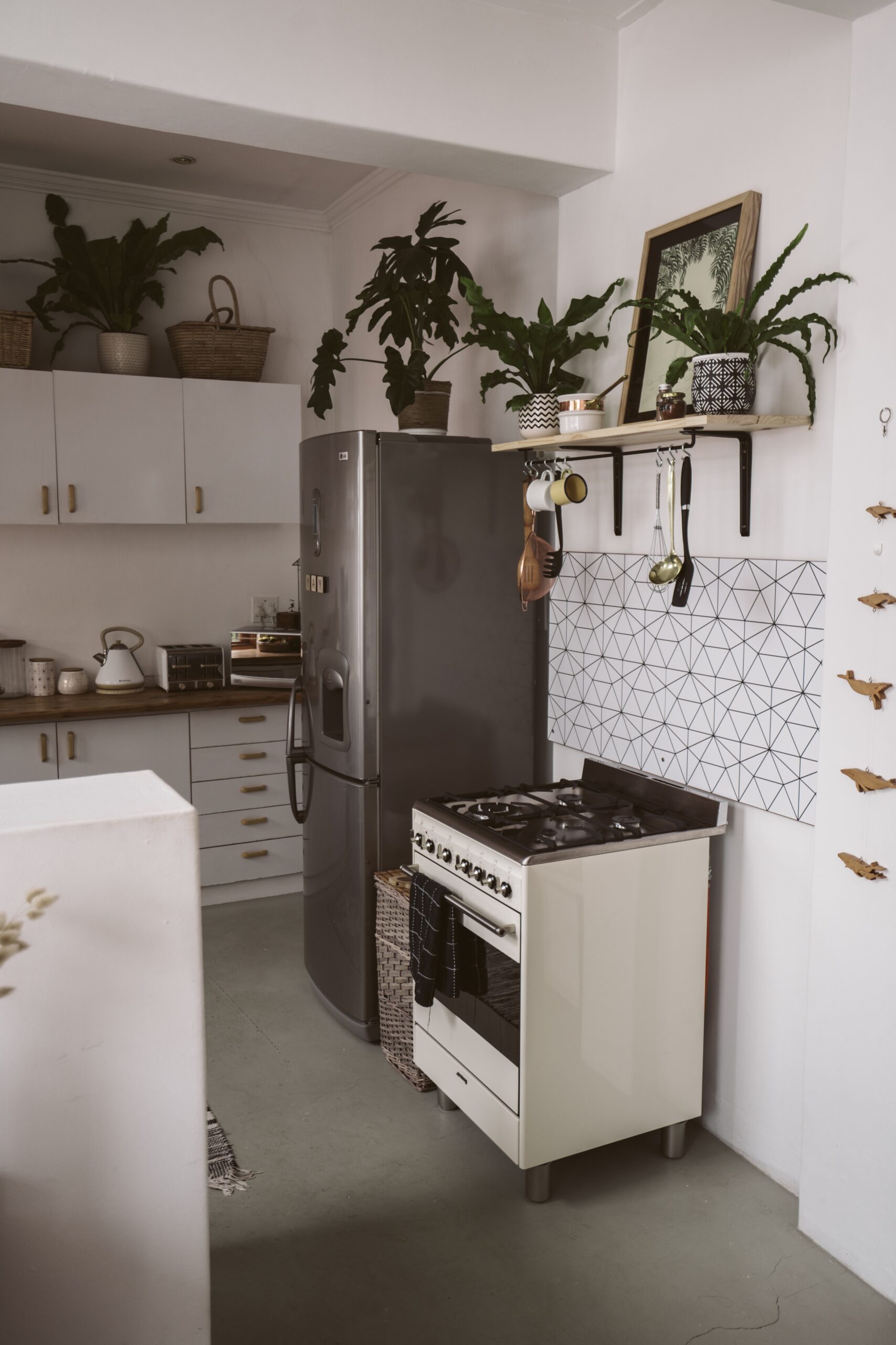 Appliance (stove, fridge, microwave, etc.)